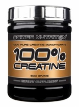 Creatine Monohydrate (100g)